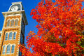 Old Main Maple print
