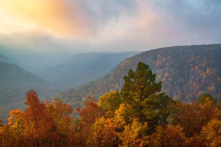 A breathtaking view of fall foliage the Upper Buffalo Wilderness is blanketed in autumn colors captures the eye as morning mist lingers among the hills. 