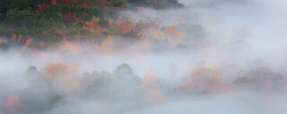 Fall Colors & Fog Panorama