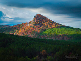 Spotlight On Forked Mountain