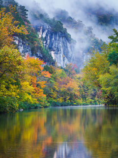 Bee Bluff Fog