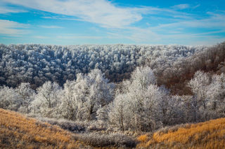 Ozark Rime Ice