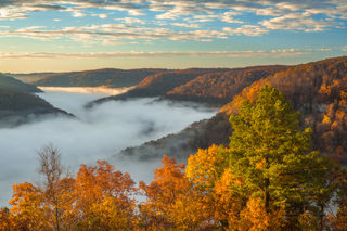 Wilderness Fog