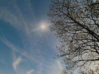 Total Eclipse Over Arkansas