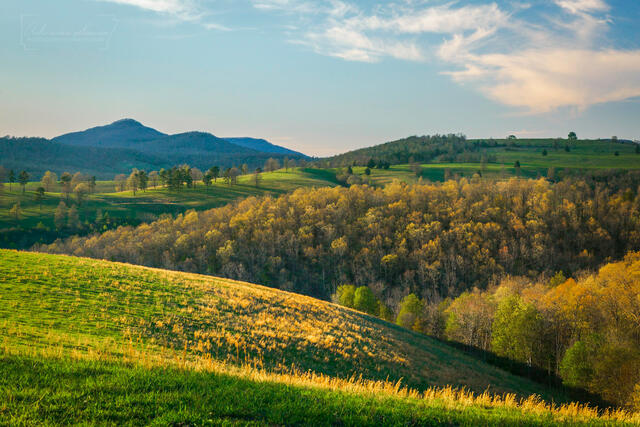 Fields & Forest print
