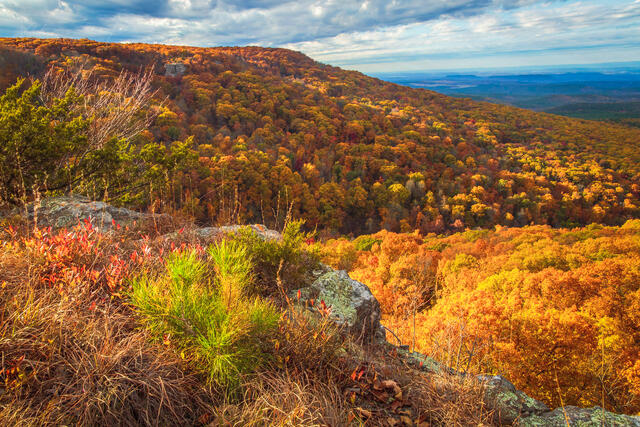 November at Mt. Magazine print