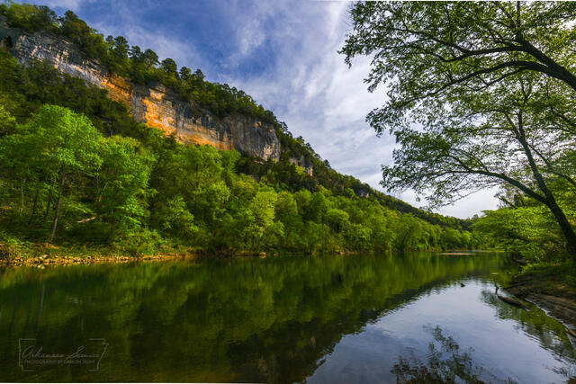 Margaret White Bluff print