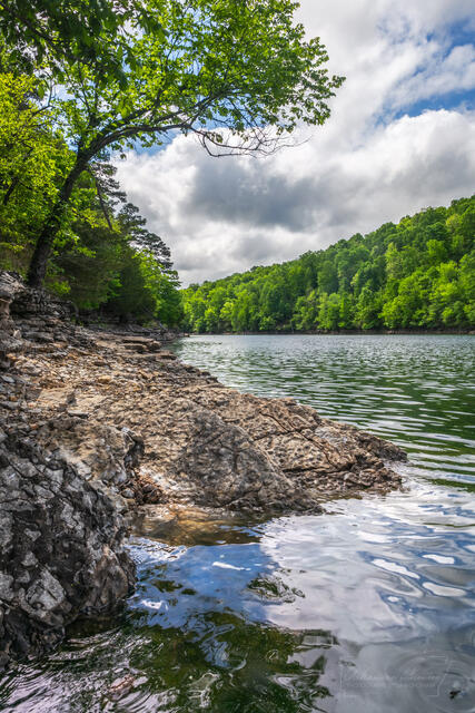 Beaver Lake in May  print