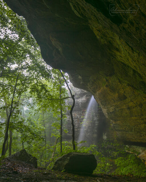 Tea Table Falls print