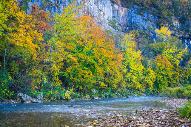 Bee Bluff Colors print