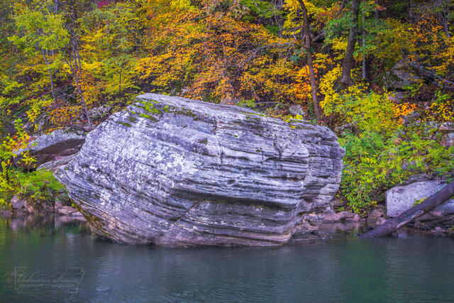 Fall Color Boulder print