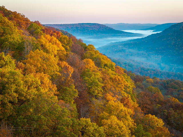 Boxley Valley Fog print
