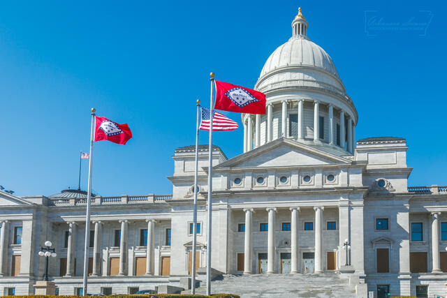 Capitol Flags Flying print