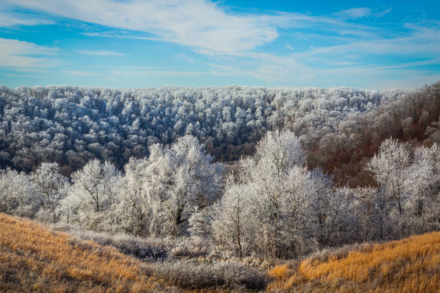 Ozark Rime Ice print