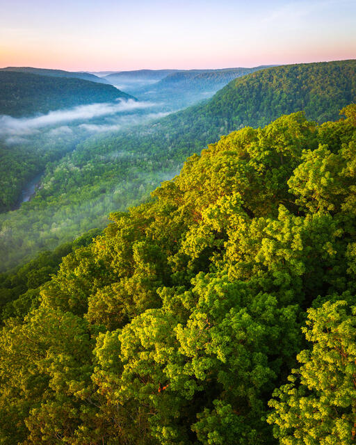 Upper Buffalo Wilderness In May print