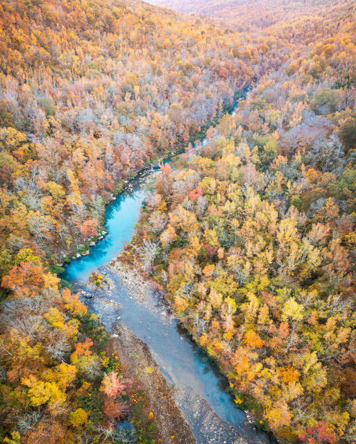 Upper Buffalo Color in November (Vertical) print