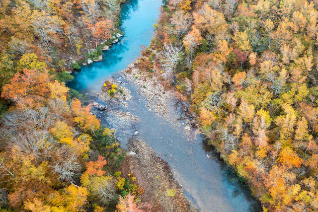 Upper Buffalo Color in November print