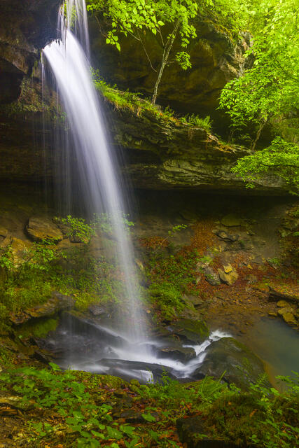 Leaning Log Falls  print
