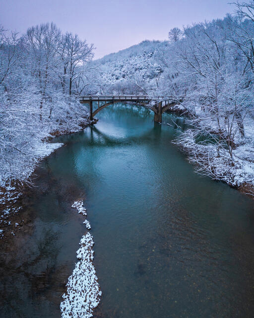 War Eagle Winter print