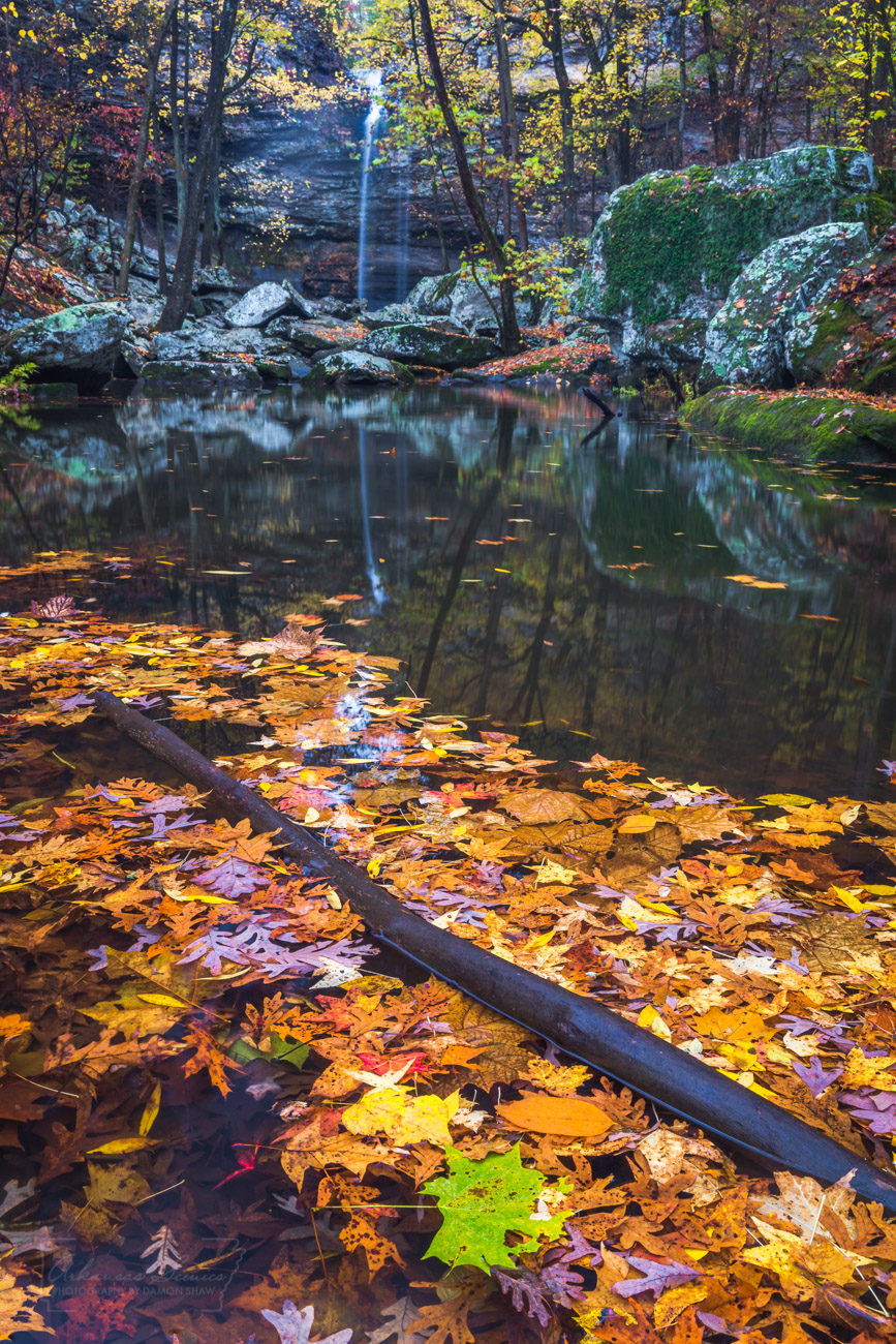 Cedar Falls during the fall at Petit Jean State Park