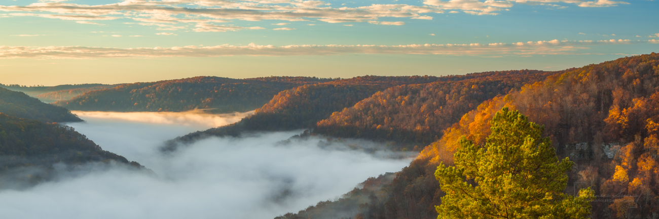 Panorama of the Upper Buffalo Wilderness of Arkansas on a foggy morning in November 2018.