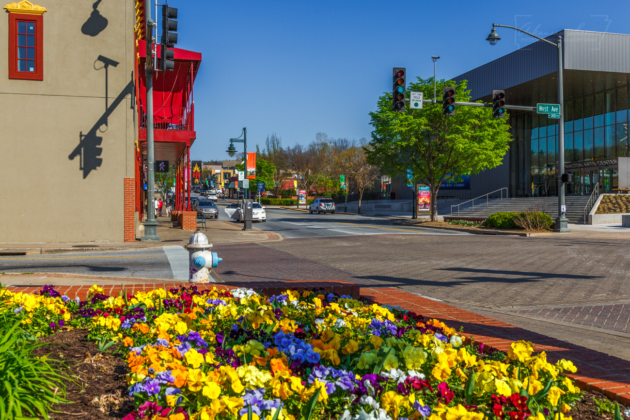 The corner of Dickson and West in Fayetteville during springtime.
