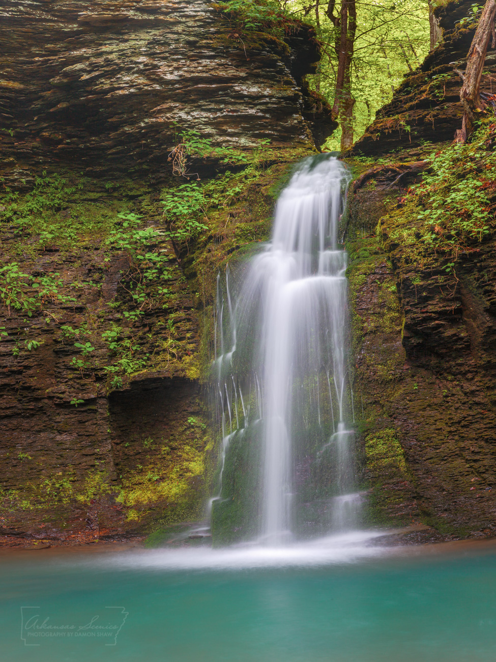 Fuzzybutt Falls in the Richland Creek Wilderness