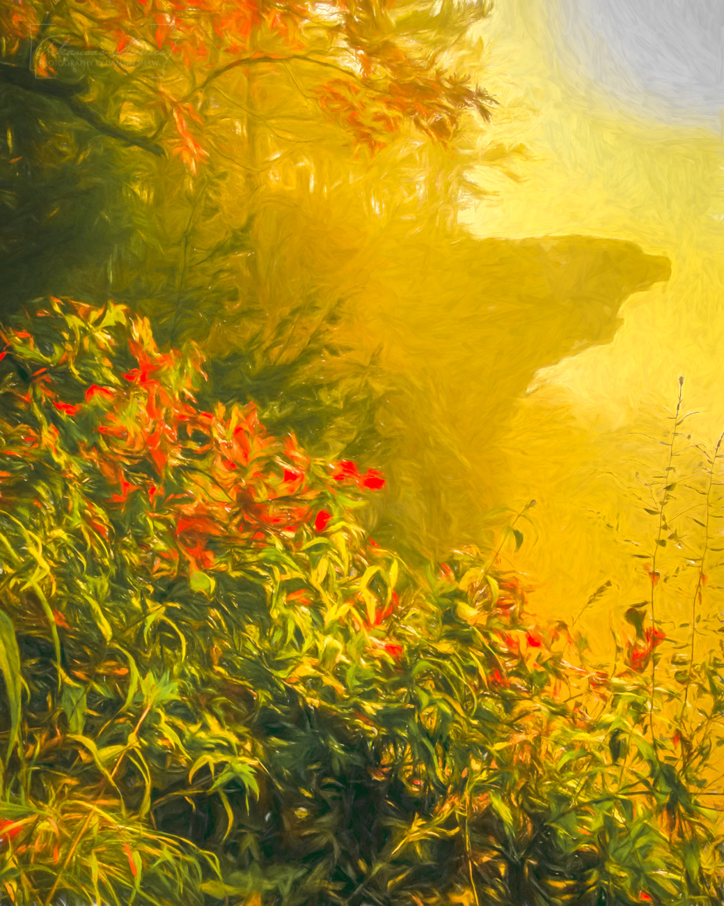 Digital art on canvas of Hawksbill Crag on a foggy morning.