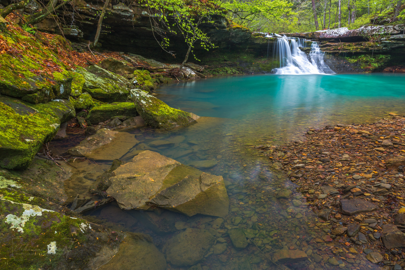 A waterfall along Mill Creek in the Hurricane Creek Wilderness.