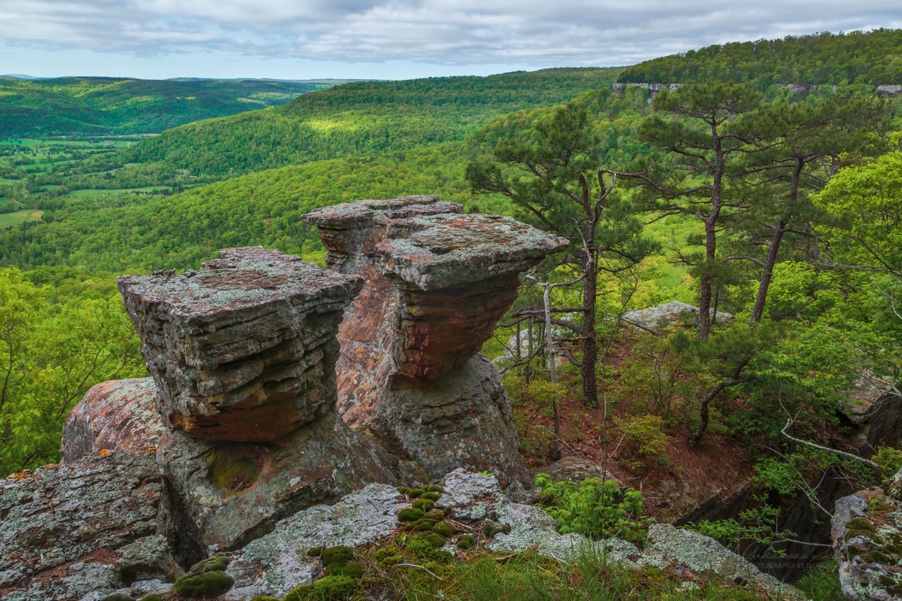 The rock outcrop known as Tea Table Rocks in Newton County.