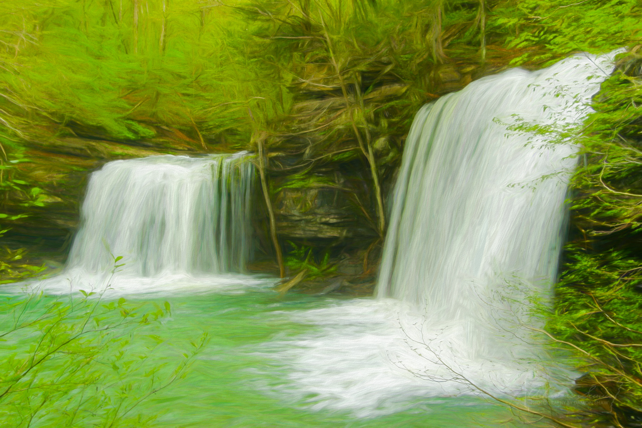 Digital art on canvas only